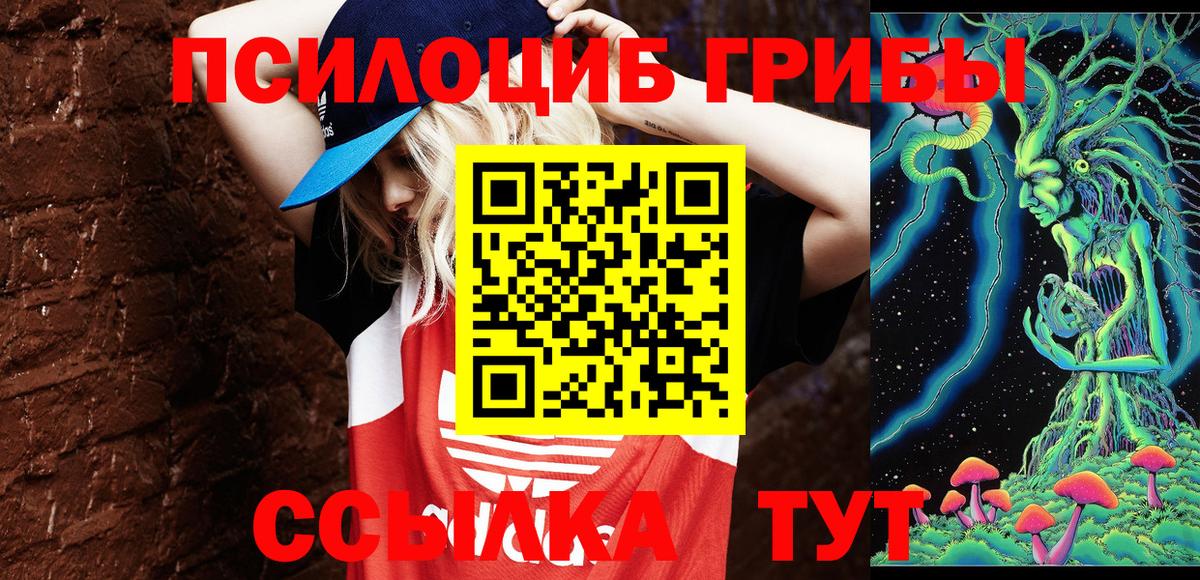Псилоцибиновые грибы GOLDEN TEACHER  Вход с VPN  Галлюциногенные грибы Psilocybe  Мценск 